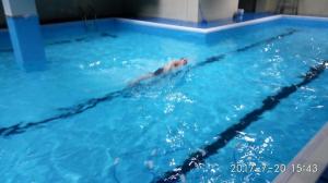 2016年武漢健身會所項(xiàng)目 健身房泳池